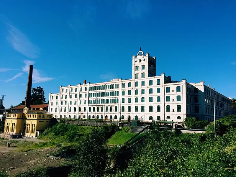 Restauro Tele e Tavole